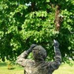 The,Beekeeper,Is,Preparing,To,Remove,A,Swarm,Of,Bees